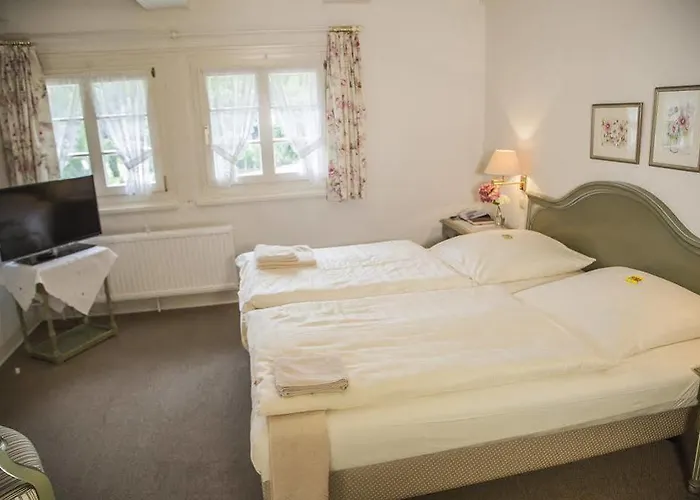 Akzent Gut Hoeing 3* 우나